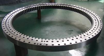 Slewing Bearing