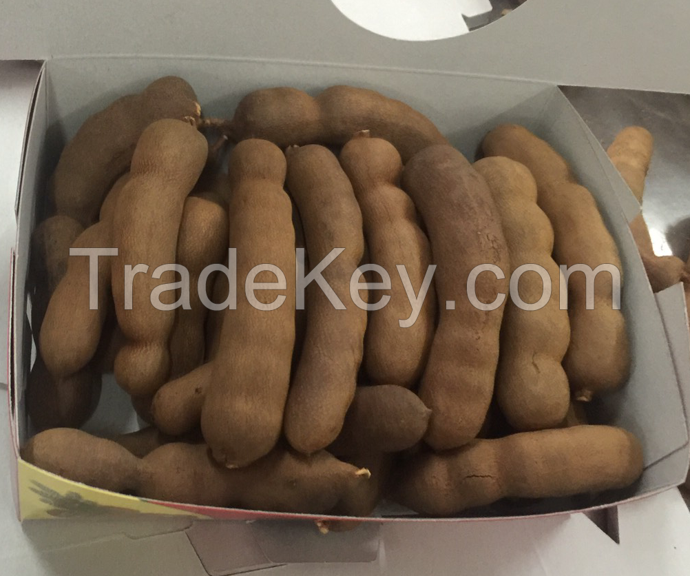 TAMARIND PRODUCTS