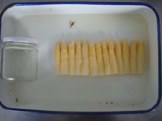 canned white asparagus