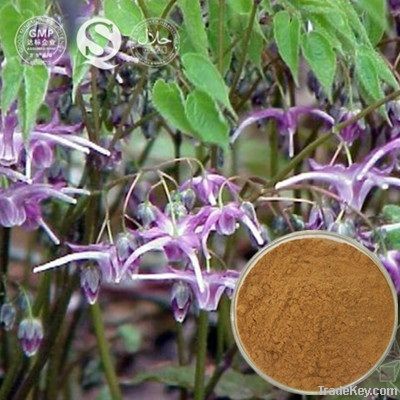 Epimedium P.E./ Horny goat weed Extract Icariin