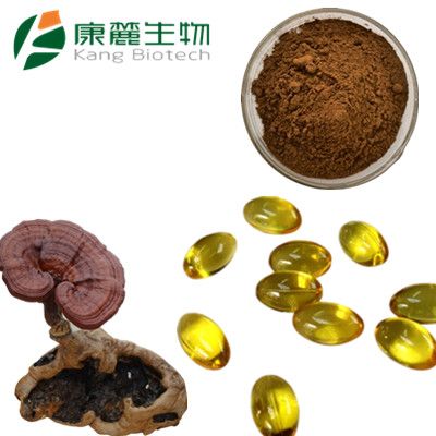 Reishi, Lingzhi, Ganoderma Lucidum, Lingzhi Spores Powder