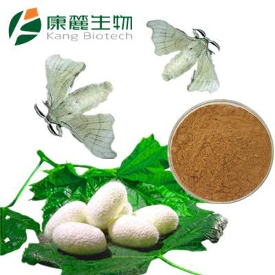 Silkworm Pupa Powder