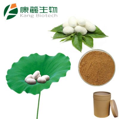 Silkworm Pupa Powder