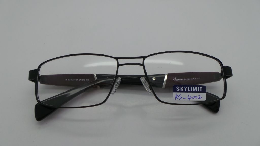 Stainless Steel Designer Eyewear Frames