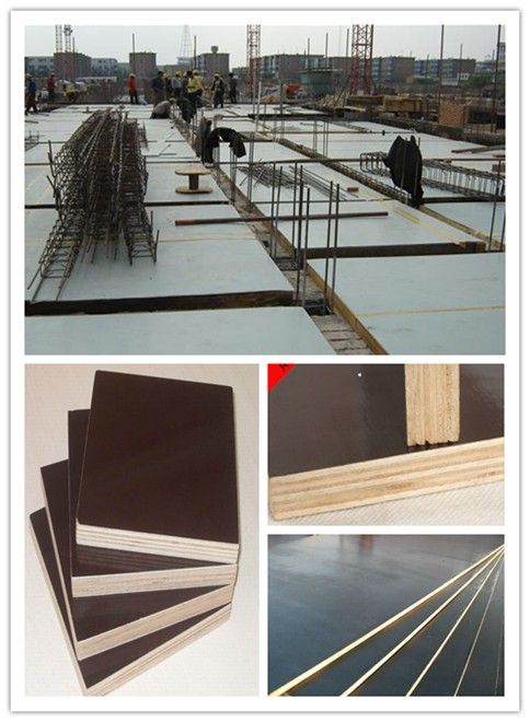 Film faced plywood/Shuttering plywood/Construction plywood/FFP