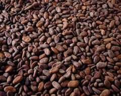 theobromine fro cocoa