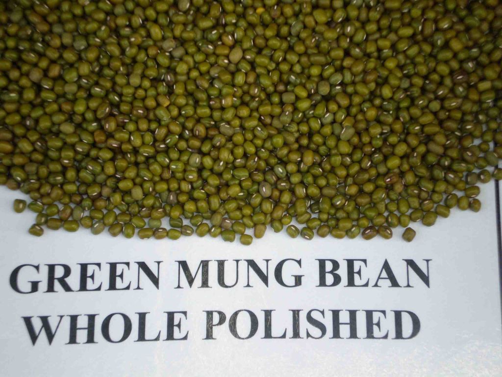 Top Quality Fresh,Frozen And Dried Green Mung Beans