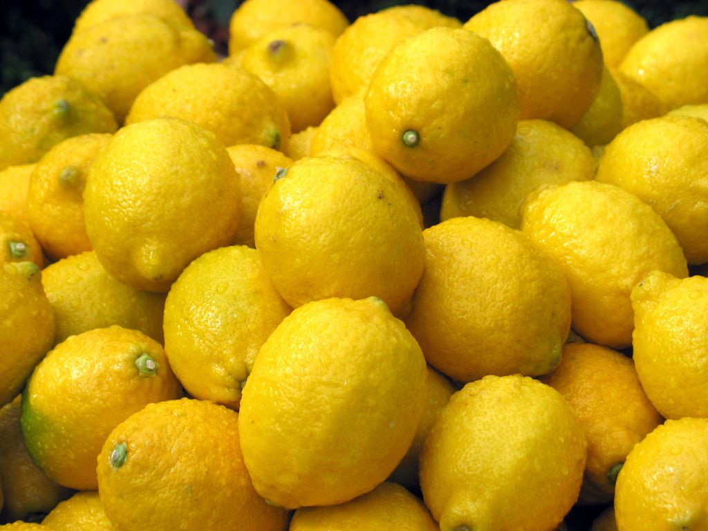 Fresh Eureka Lemon ( Adalia - Verna - green lime )