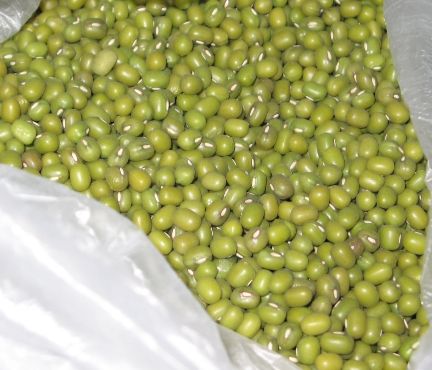 Top Quality Fresh,Frozen And Dried Green Mung Beans