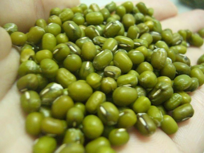 Top Quality Fresh,Frozen And Dried Green Mung Beans