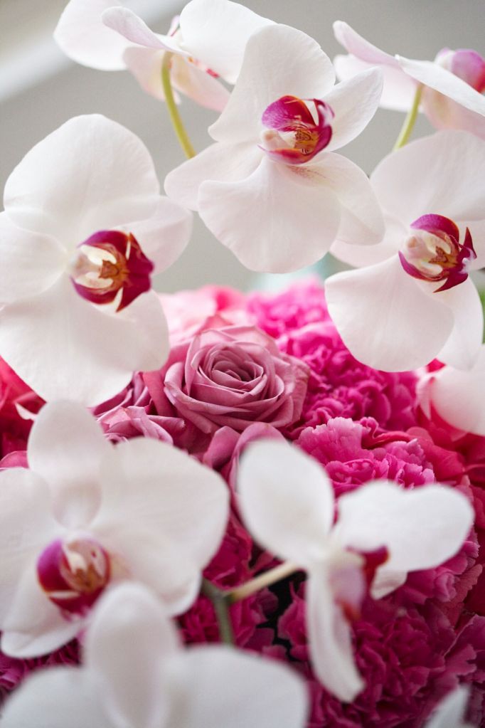 Fresh Orchid Flowers