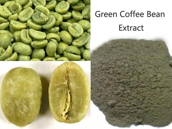 Pure Green Coffee Bean Extract