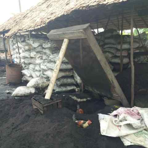 Coconut Shell Charcoal