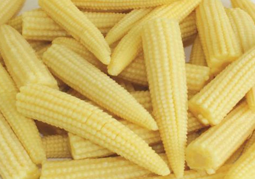 Frozen Baby Corn Whole/Cut