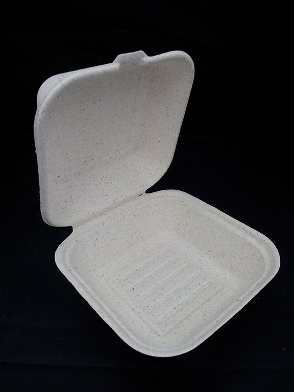 Biodegradable Burger Box 9'' x 9'' x 3''