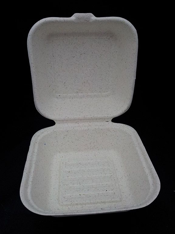 Biodegradable Burger Box 6&amp;amp;amp;quot; x 6&amp;amp;amp;quot; x 3&amp;amp;amp;quot;