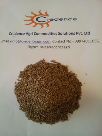 Cumin Seeds