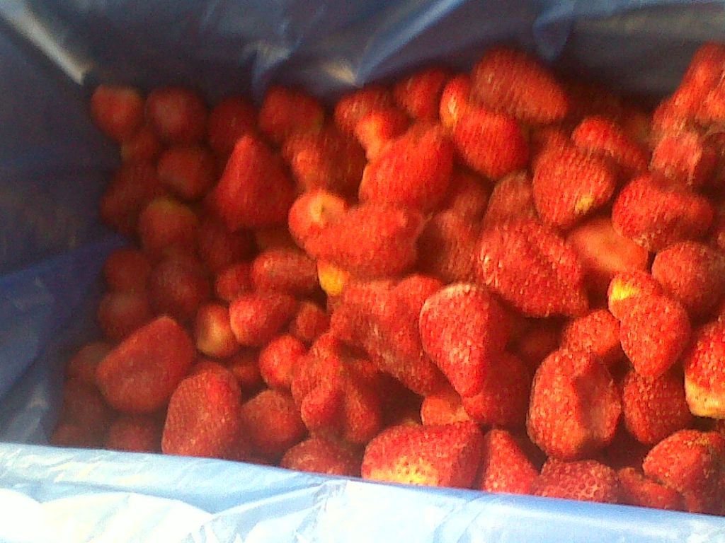 IQF strawberry