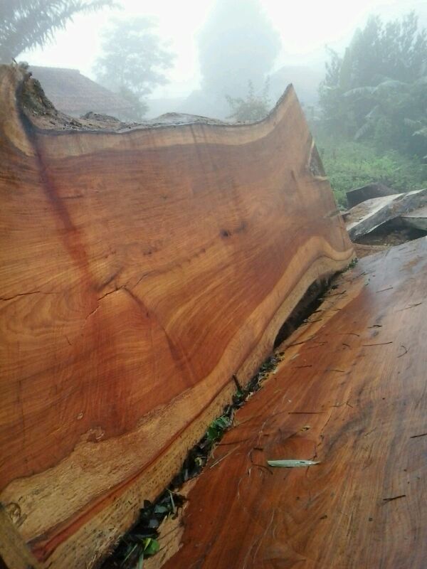 Wood Slab Table Top