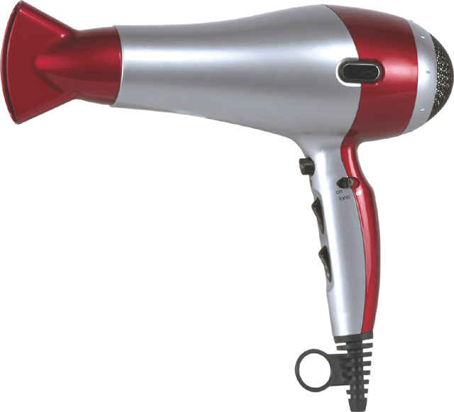 Electric hair dryer