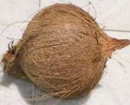 Semi Husked Coconut