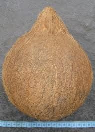 Semi Husked Coconut