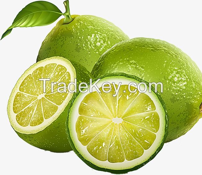 Grade A Fresh Lemon,Yellow fresh Lemon,Green Fresh Lemon