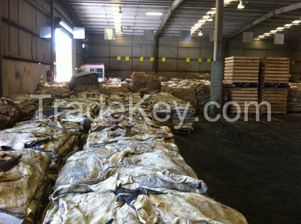 Wet salted cow hides