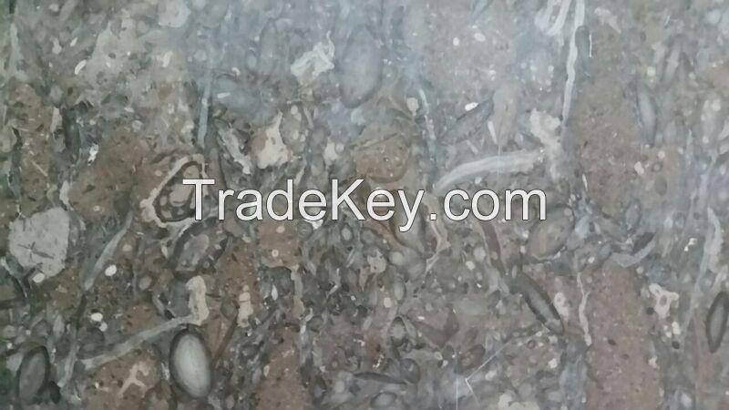 Fossil Brown Limestone pakistan marble