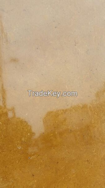 Indus Gold and golden camel Marble