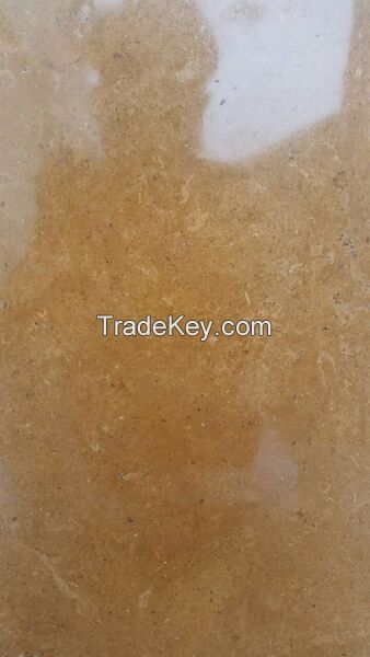 Indus Gold and golden camel Marble