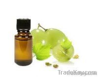 Grape Seed Oil