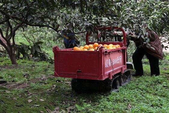 power mini wheel loader mini dumper