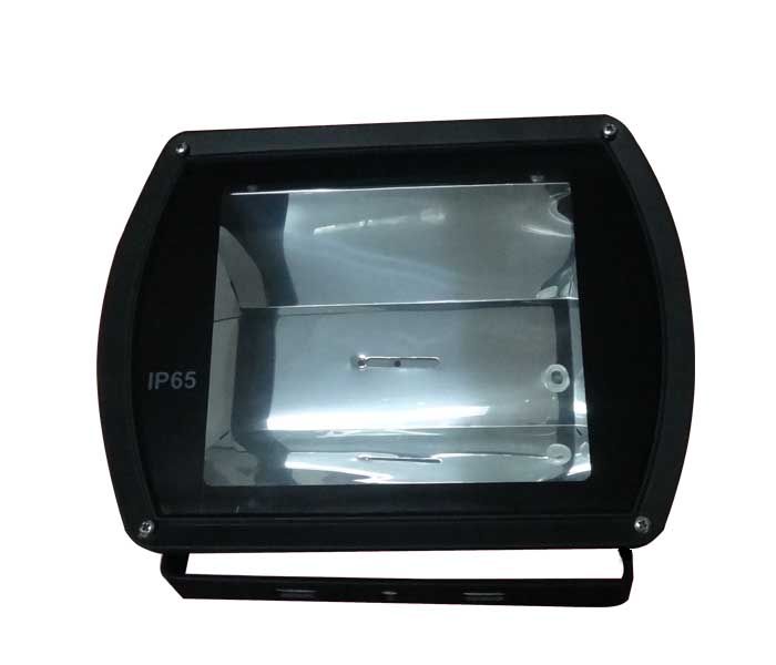 RH239 Flood light 