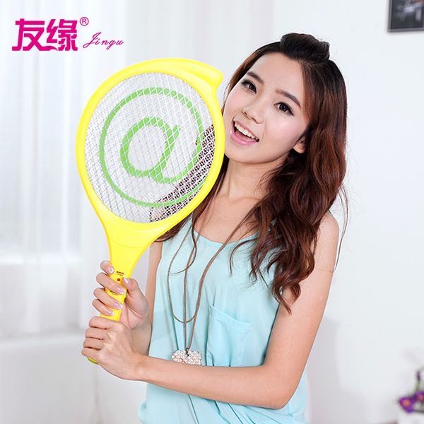 Electronic Fly Swatter