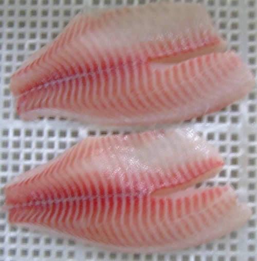 Frozen Tilapia Fillet