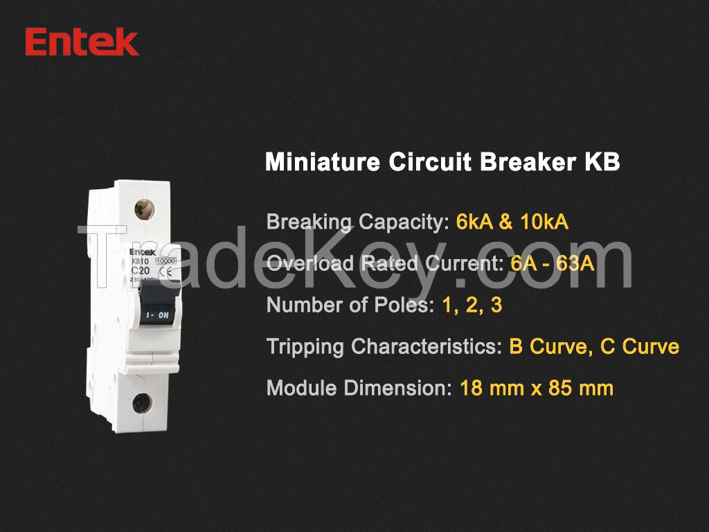 Miniature Circuit Breaker CE 2P 6A MCB