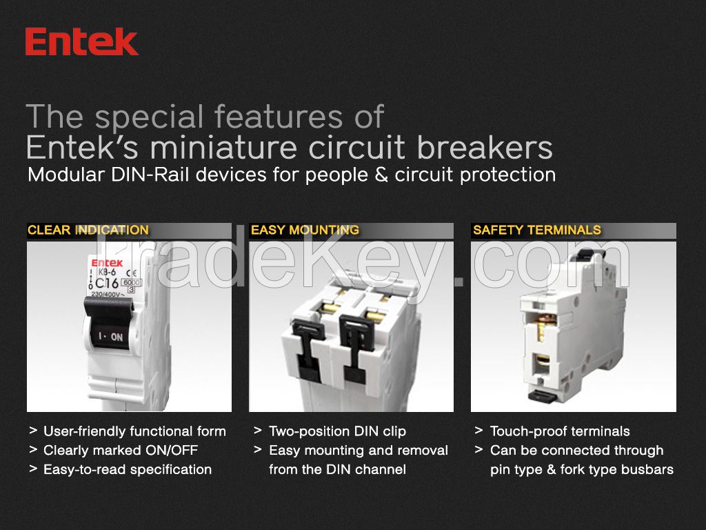 Miniature Circuit Breaker CE 1P 6A MCB