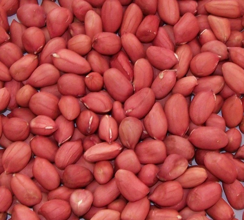  Kidney Beans