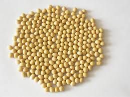 Soybeans