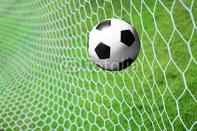 Nets for Synthetic Grass/ Artificial Grass/ Turf Sports Fields, Rebounding Goal Post Net