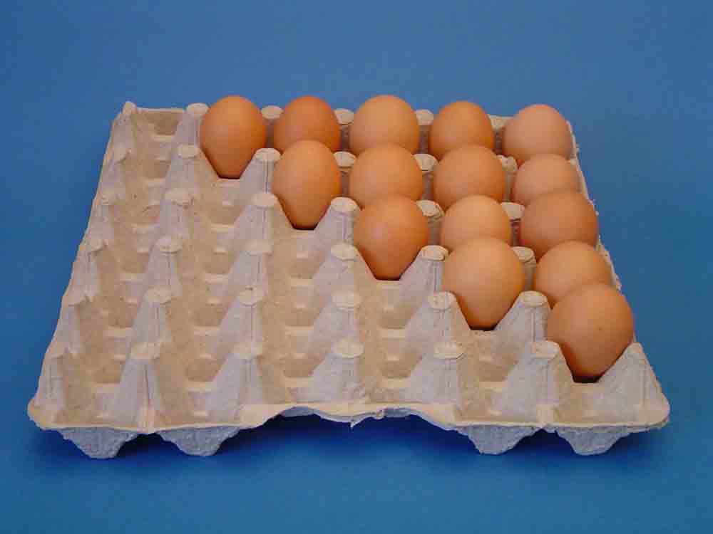 Egg trays