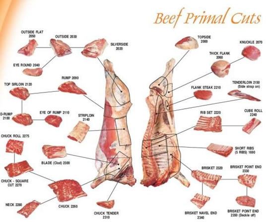 Grass fed beef