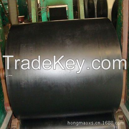 Chemical Resistant Conveyor Belt with International Standard