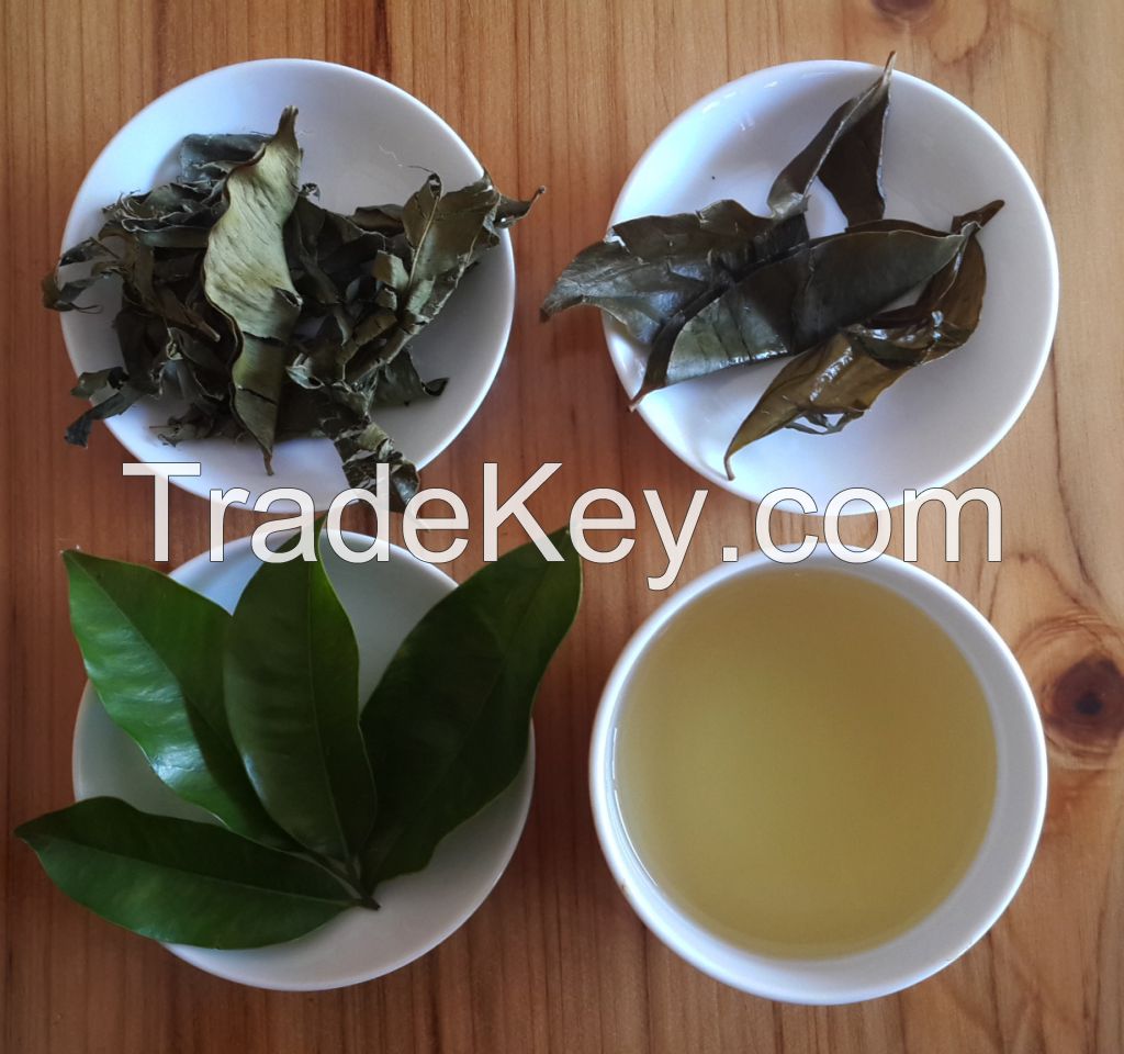 Agarwood Green Tea