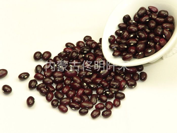 Purple round kidney bean