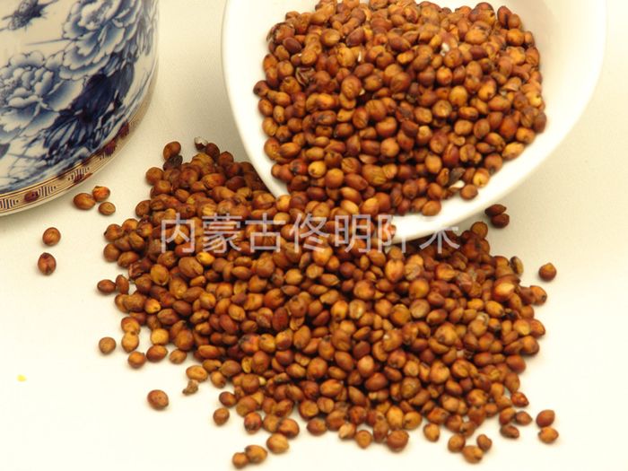 Sorghum