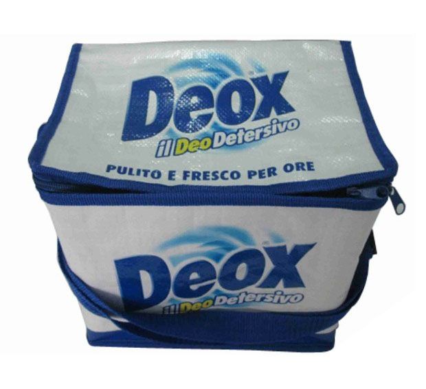 Cooler bag 