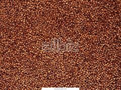 Millet