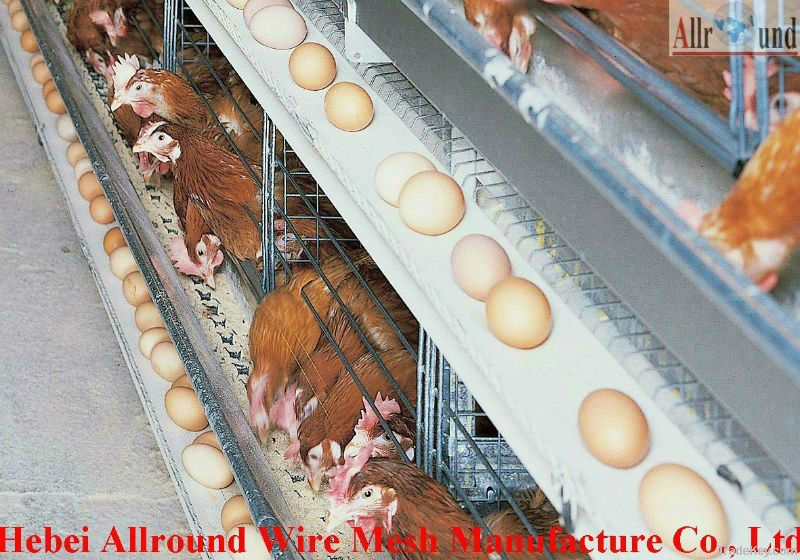 Automatic chicken cage system